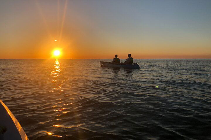 10,000 Islands Sunset & Shelling Kayak Adventure Tour: Naples Kayak Adventures - thumb 5