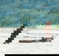 Eagle Preserve Float Trip in Haines - USA Accommodation