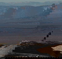 The Coyote: 8-Day Southwest Mighty Five Adventure with your Dog - Tourism Bookings