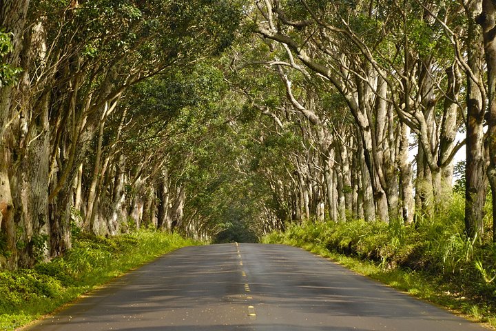 Kauai Poipu & Koloa Town Audio Driving Tour - thumb 0