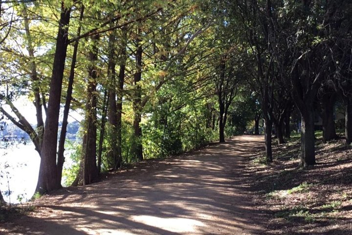 Lady Bird Lake Bike Tour In Austin - thumb 2
