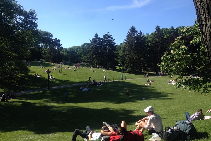 Central Park And Upper East Side Walking Tour - thumb 1