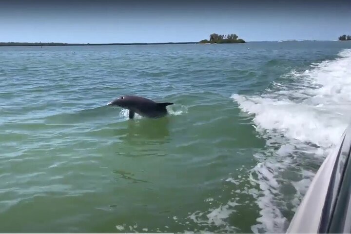 Private Jet Boat Tour In Clearwater - thumb 5