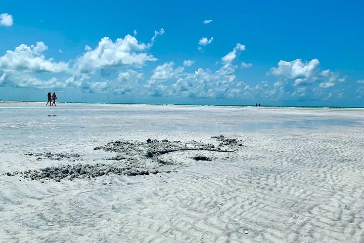 Private Half-Day Boat Charter In Clearwater, Florida - thumb 1