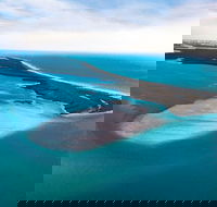 Private Island and Dolphin Boat Tour from Palm Harbor - USA Accommodation