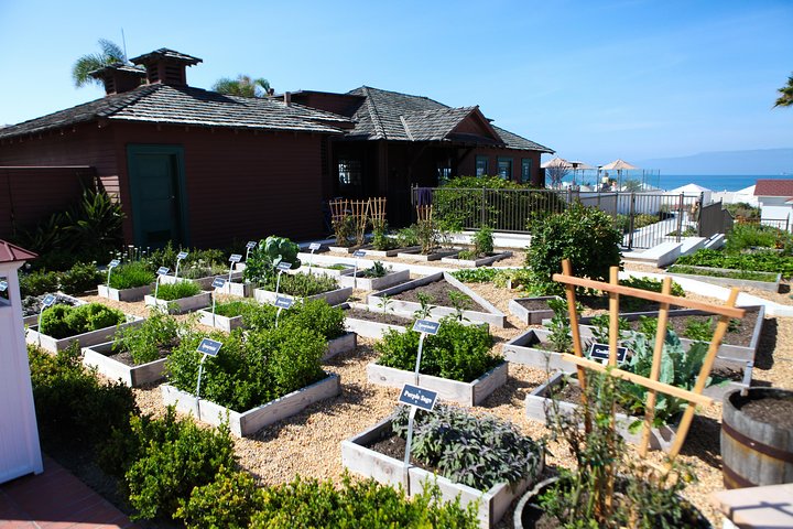 The San Diego Highlights Tour - thumb 4