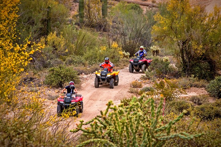 Centipede Tour - Guided Arizona Desert Tour By ATV - thumb 1