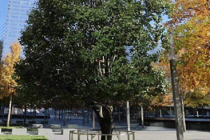 9/11 Memorial Museum Admission Ticket - thumb 1