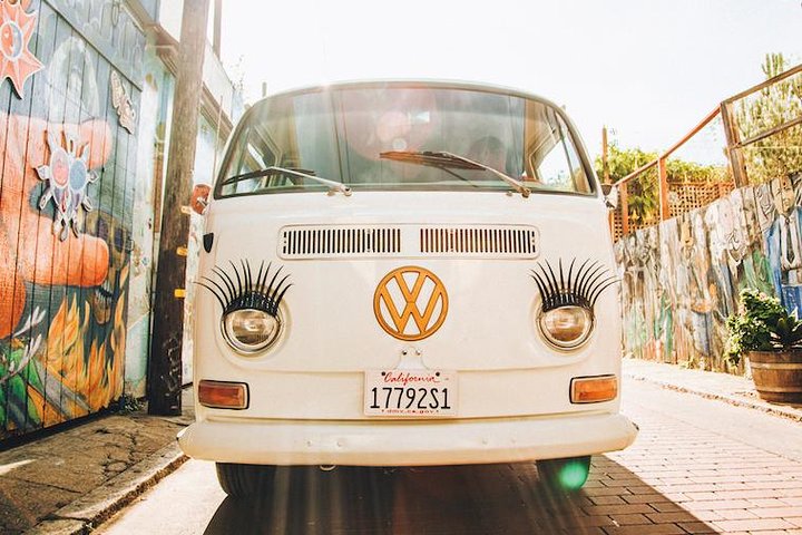 Painted Ladies San Francisco City Tour - thumb 1