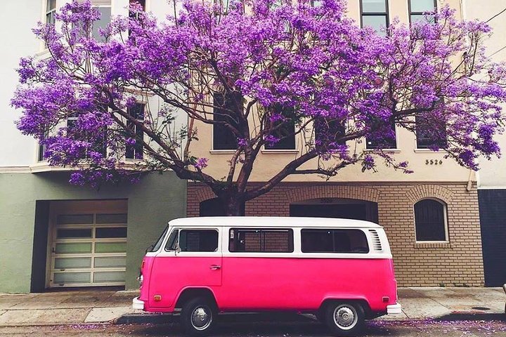 Painted Ladies San Francisco City Tour - thumb 4