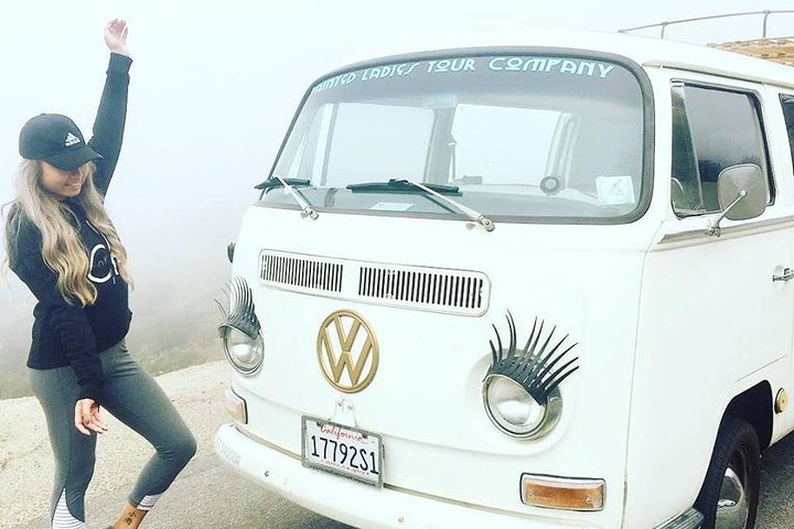 Painted Ladies San Francisco City Tour - thumb 5