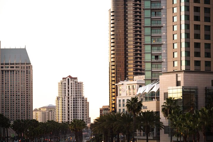 Private Half-Day Tour Of San Diego With A Driver-guide - thumb 5