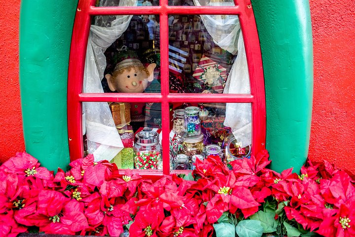 Christmas Lights Tour Of New York City - Private Tour With Free Christmas Drink - thumb 1