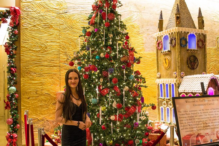 Christmas Lights Tour Of New York City - Private Tour With Free Christmas Drink - thumb 2