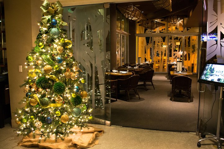 Christmas Lights Tour Of New York City - Private Tour With Free Christmas Drink - thumb 5