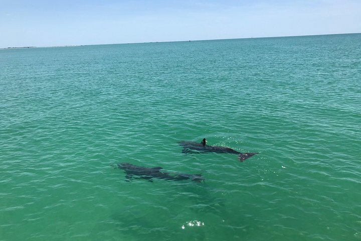 WildSide Sunset Cruise - thumb 5