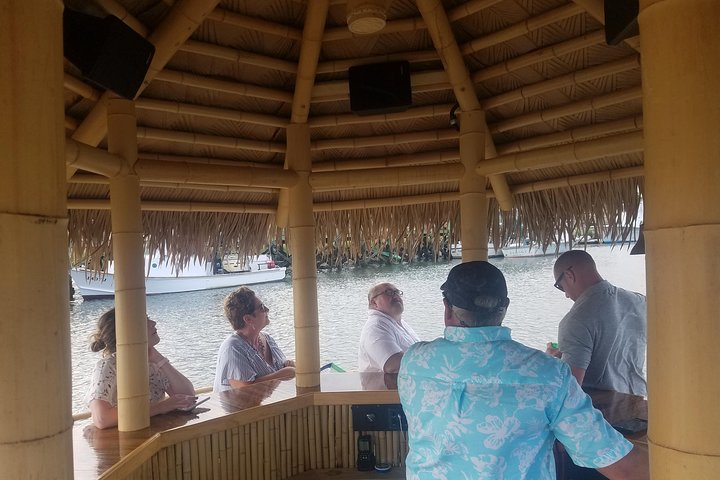 A Charleston Harbor Tour On A Polynesian Style Real Bamboo Motorized Tiki Bar. - thumb 0