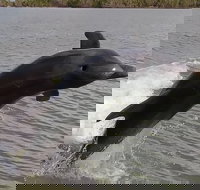 Everglades National Park Boating Expedition with Florida Master Naturalist Guide - Tourism Bookings