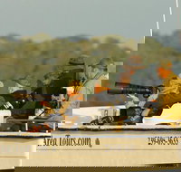 Private Everglades National Park Photo and Wildlife Safari - Tourism Bookings