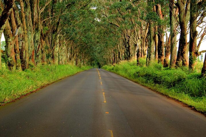 All Hawaii Self-Guided Driving Tours Bundle