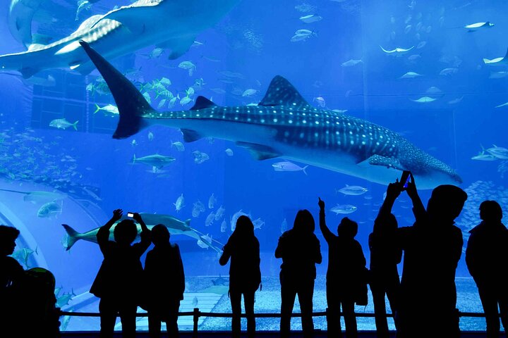 Long Beach Self-Guided Audio Tour - thumb 1