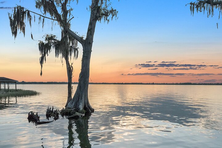Pontoon Lake Tours - thumb 2