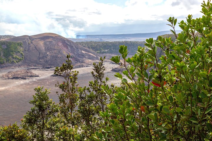 Deluxe Daytime Volcano Guided Charter (Cruise Ship Or Hilo Hotel) - thumb 4