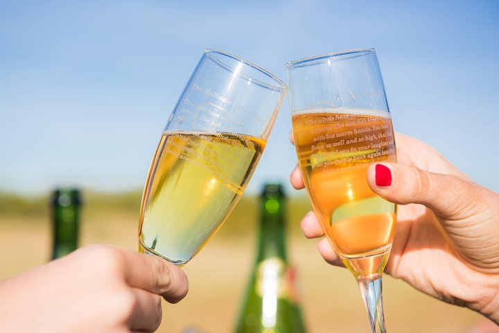 Afternoon Hot Air Balloon Flight Over Phoenix - thumb 5