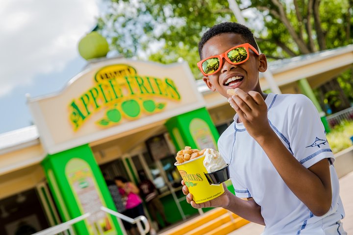 LEGOLAND Florida Resort Admission Ticket - thumb 5