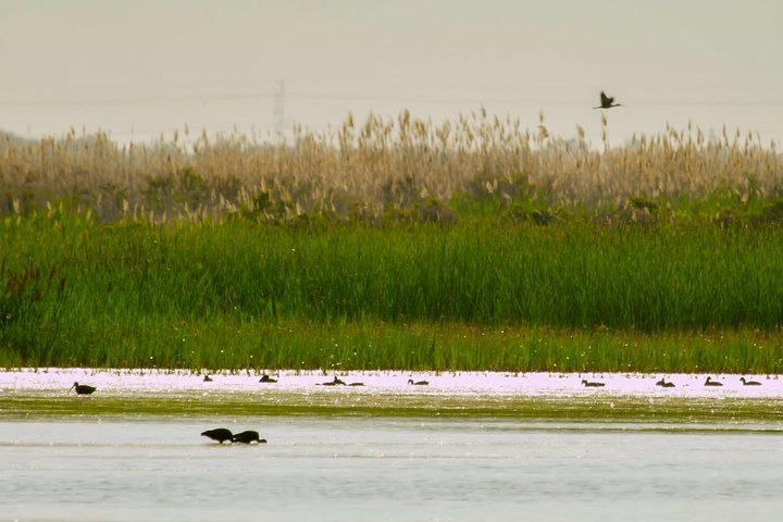 Guided Tour Of Great Salt Lake From Salt Lake City - thumb 5
