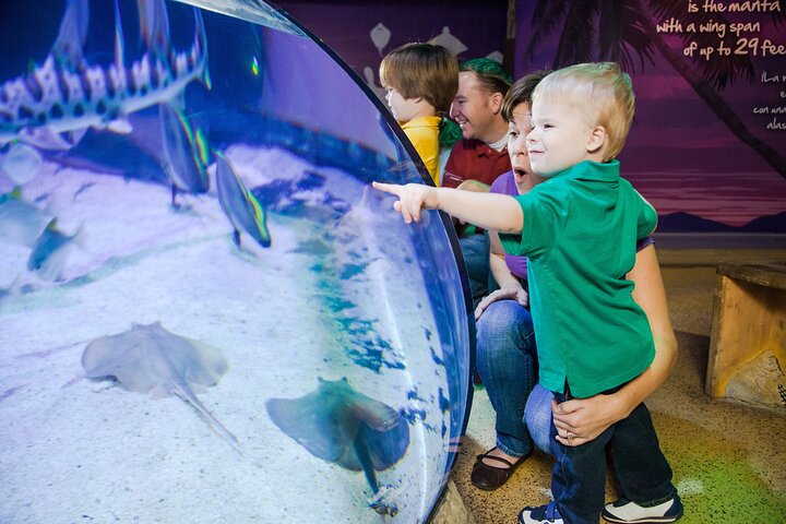 SEA LIFE Aquarium Minnesota Admission Ticket At Mall Of America - thumb 1