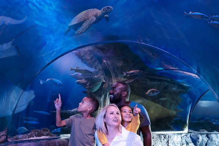SEA LIFE Aquarium Minnesota Admission Ticket At Mall Of America - thumb 2