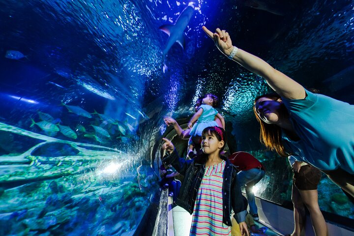 SEA LIFE Aquarium Minnesota Admission Ticket At Mall Of America - thumb 3
