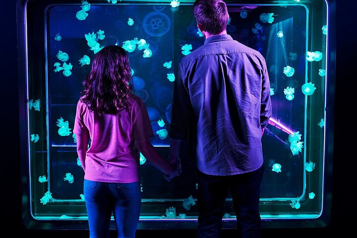 SEA LIFE Aquarium Minnesota Admission Ticket At Mall Of America - thumb 4