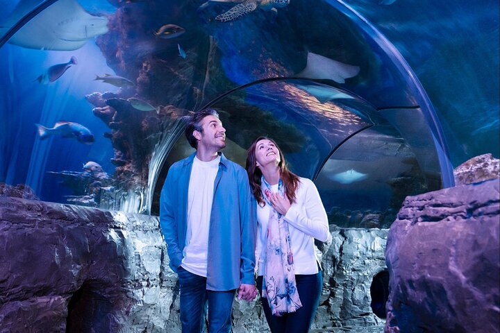 SEA LIFE Aquarium Minnesota Admission Ticket At Mall Of America - thumb 5
