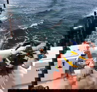 6-Hour Private Off-Shore Fishing Charter - Tourism Bookings