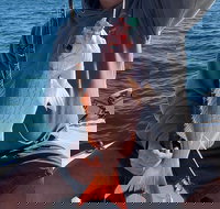 4-Hour Private Near-Shore Fishing Charter from Orange Beach - Tourism Bookings