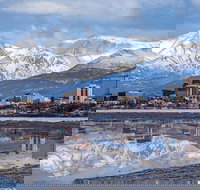 Anchorage Scavenger Hunt: Mushing Through Anchorage - Tourism Bookings