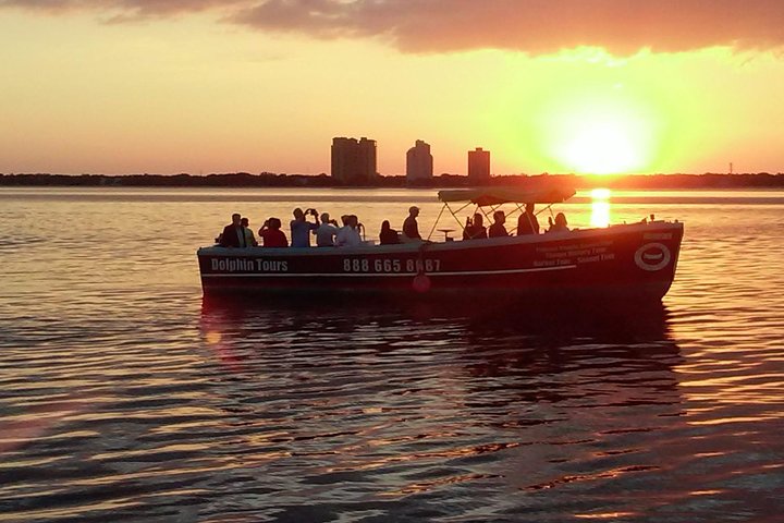1.5-hour Dolphin Sightseeing Cruise From Tampa - thumb 3