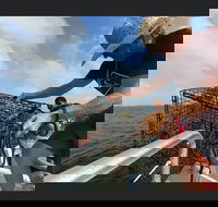 Big Fun Dolphin Cruise and Sealife Experience Orange Beach - Tourism Bookings