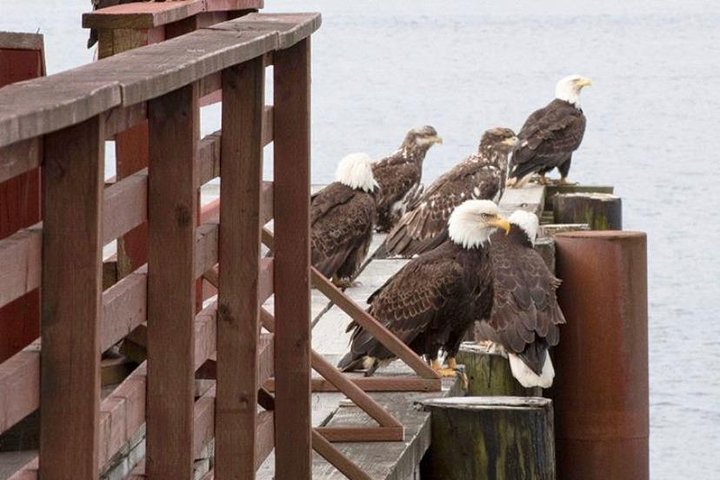 2 Hour Custom, Private, Group Charter - thumb 0