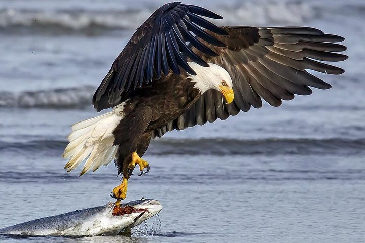 2 Hour Custom, Private, Group Charter - thumb 2