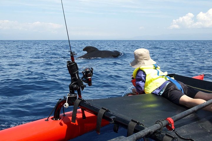 4 Day Alaskan Excursion - thumb 4