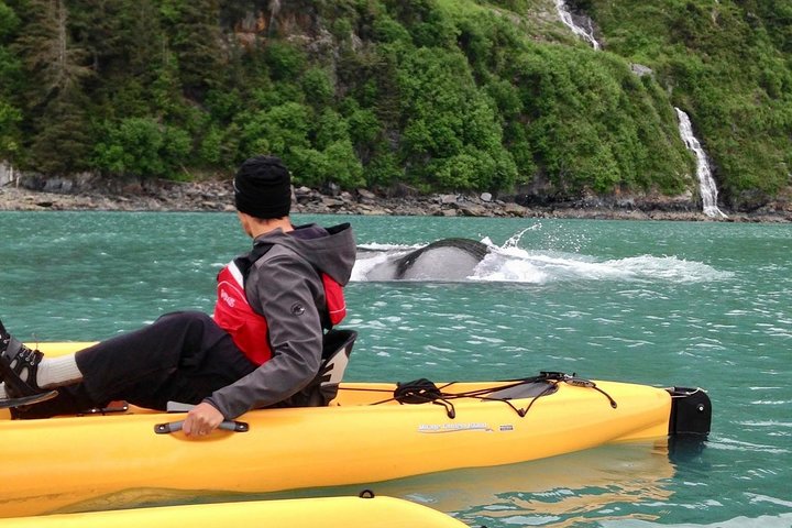 4 Day Alaskan Excursion - thumb 5