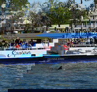 2-Hour Dolphin and Nature Eco Tour from Orange Beach - Tourism Bookings