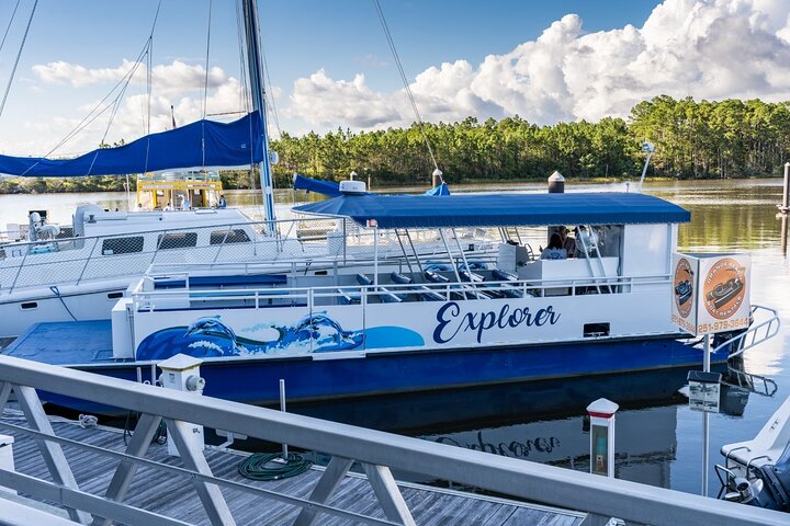 2-Hour Dolphin And Nature Eco Tour From Orange Beach - thumb 1
