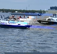 Orange Beach Dolphin Eco Boat Tour - Tourism Bookings