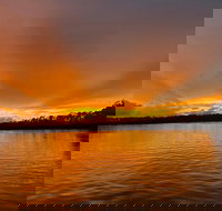 Dolphin and Nature Sunset Cruise from Orange Beach - Tourism Bookings