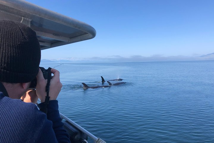 Whale Watching Charters Through Icy Strat Alaska - thumb 2