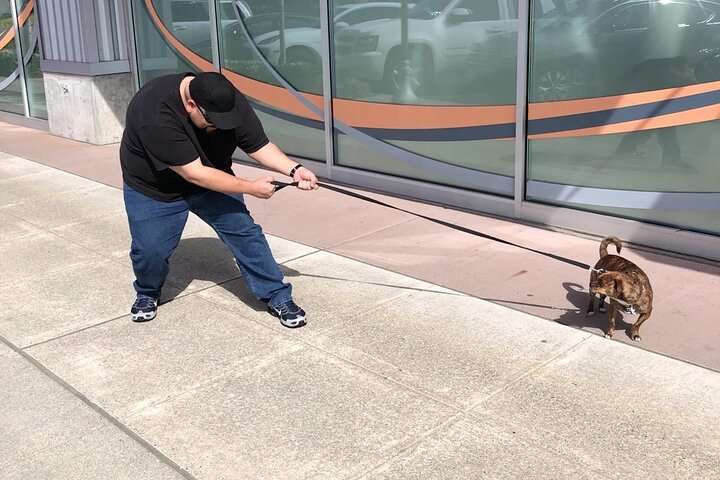 Fun City Scavenger Hunt In Birmingham By Operation City Quest - thumb 3